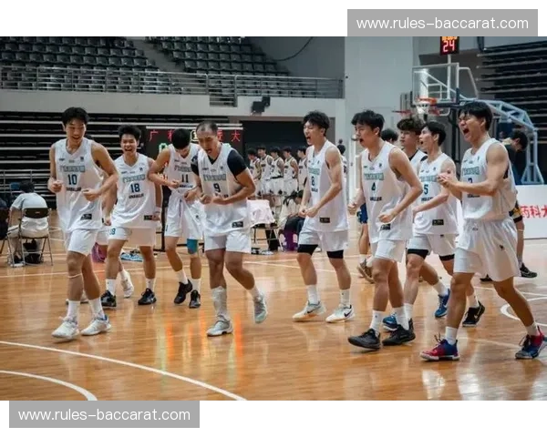 巅峰对决，谁主沉浮？——宝岛篮球的荣耀与挑战，海峡两岸的篮球情结