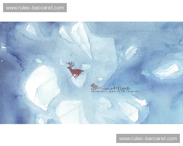 2006，那年夏天，我们曾并肩作战